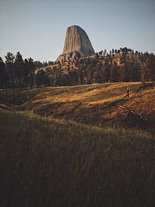 brown mountain and trees thumbnail