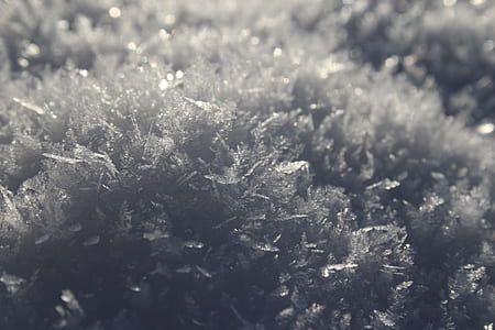 closeup of snows thumbnail