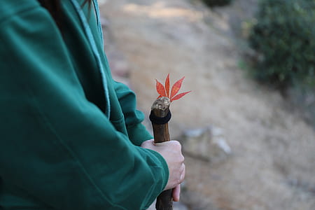 person holding brown rod thumbnail