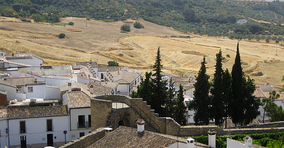 white houses near yellow ground thumbnail
