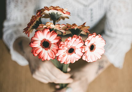 Selective Focus Photography of Person Holding Red Petaled Flowers thumbnail