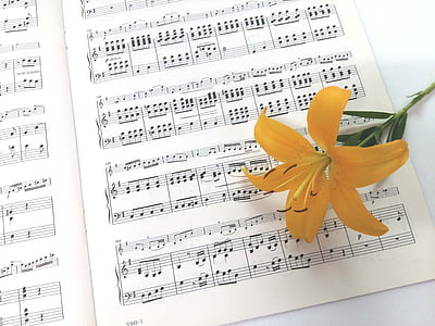 orange lemon lily flower on musical notebook thumbnail