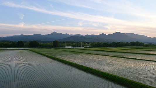 Countryside, Yamada'S Rice Fields thumbnail