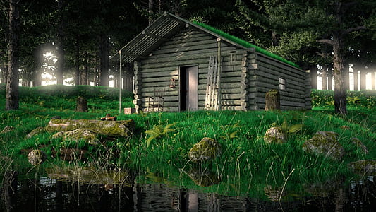 brown log house near swamp during night time thumbnail
