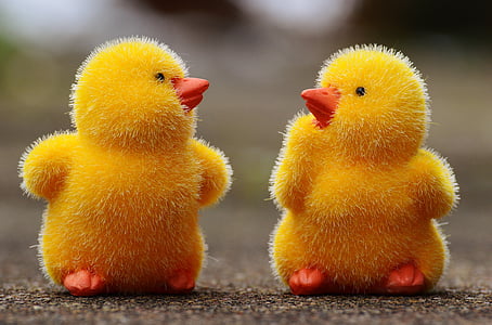two duckling toys on pavement selective focus photography thumbnail