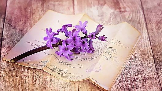 purple petaled flowers on printer paper thumbnail