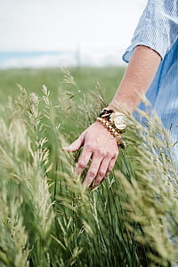 person holding green rice field during daytime thumbnail