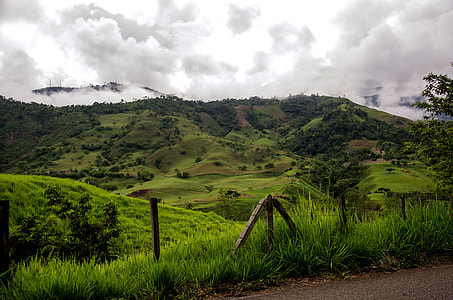 green field landscape under cumulus clouds thumbnail
