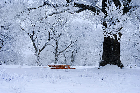 brown wooden picnic table surrounded by snow covered trees thumbnail