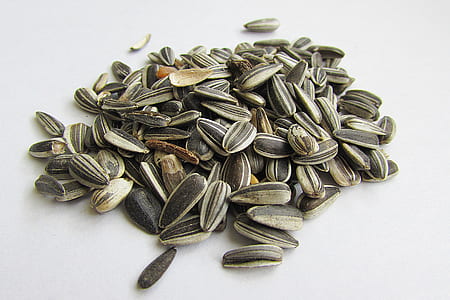 pile of seeds thumbnail