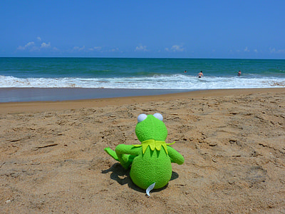 Hermit the Frog plush toy thumbnail