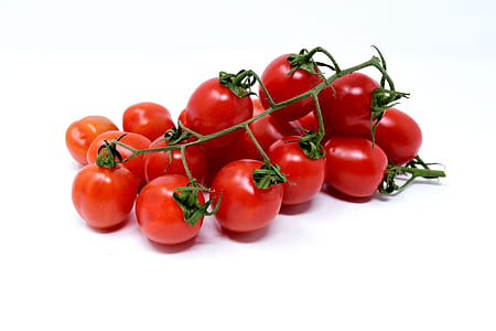 tomato lot thumbnail