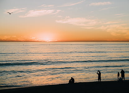 silhouette of people standing and sitting near seashore during sunset thumbnail