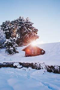brown wooden house covered with snow thumbnail
