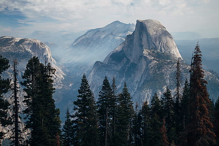 gray and black mountains surrounded with green trees during daytime thumbnail