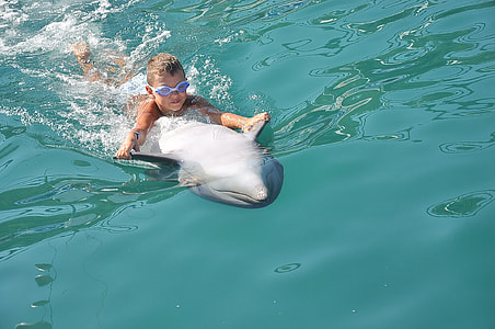boy playing with dolphin on water thumbnail