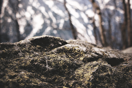 close-up photography brown and gray stone thumbnail