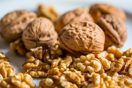 selective focus photography of nuts thumbnail