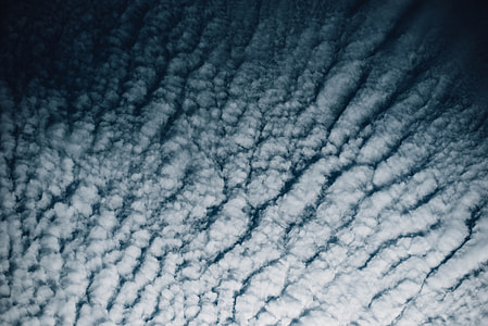 white snow thumbnail