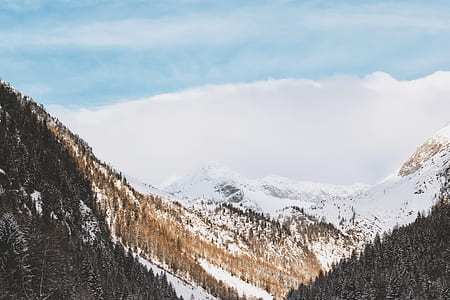 mountain field with snow thumbnail