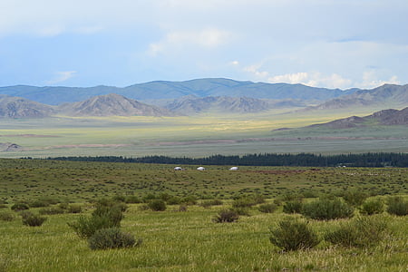 green grass field thumbnail