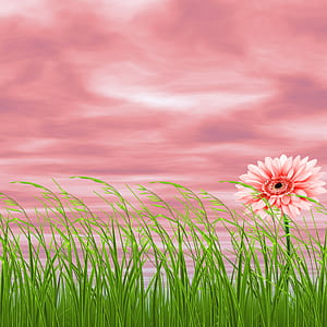 pink Gerbera daisy flower beside green grasses painting thumbnail