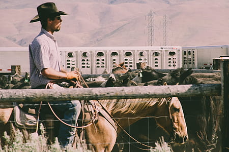 Photography of a Person Riding Horse thumbnail