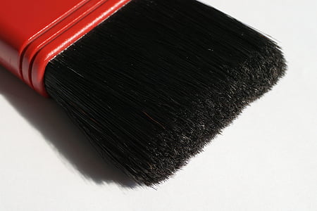 close-up photo of brush thumbnail