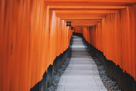 orange and black pathway thumbnail