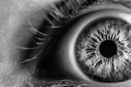 grayscale photo of human eye thumbnail