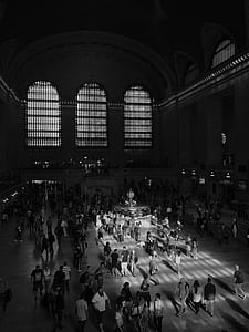 greyscale photo of crowd of people inside building thumbnail