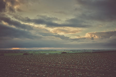 Scenic View of Farm Field Under Cloudy Sky thumbnail