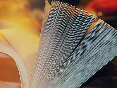 shallow focus photography of open book thumbnail