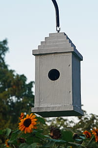 Birdhouse in the backyard garden. thumbnail