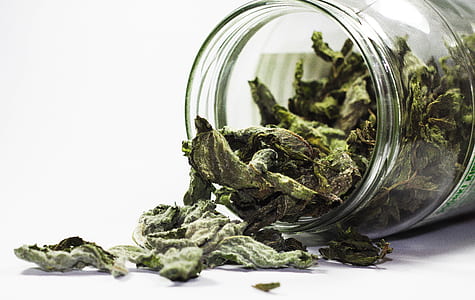 green kush spilled from clear glass jar thumbnail