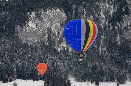 Two Assorted-color Hot Air Balloons over Green Trees thumbnail
