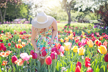 women picking up flowers during daytime thumbnail