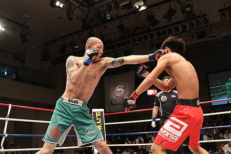 two men fighting inside ring wearing grappling gloves thumbnail