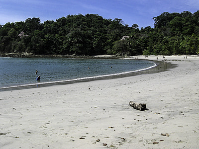 Sandy shoreline in Costa Rica thumbnail