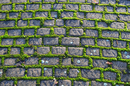 gray concrete block with moss thumbnail