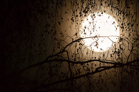 full moon photo thumbnail