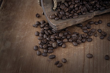 coffee beans on table thumbnail
