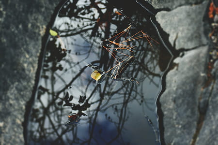 closeup photography of water thumbnail