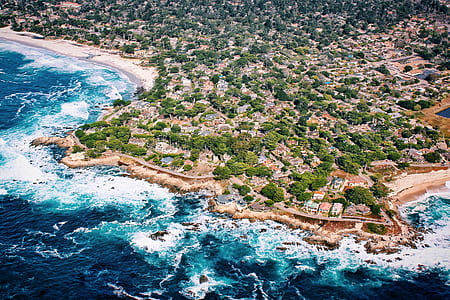 areal photography of blue sea near trees thumbnail