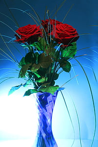 red roses thumbnail