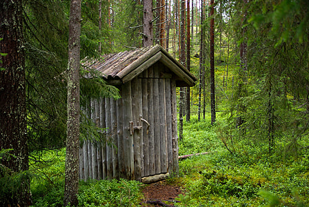 brown wooden comfort room in the middle of forest thumbnail