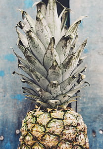 food, summer, texture, plant thumbnail