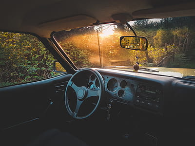 Photo of Vehicle Interior Near Green Leaf Plants thumbnail