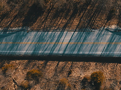 top view photo of empty roadway surrounded with wilted grass thumbnail