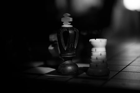 grayscale photo of chess pieces thumbnail